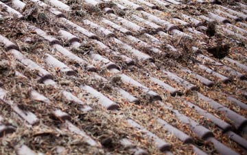 Tilford Reeds roof cleaning companies